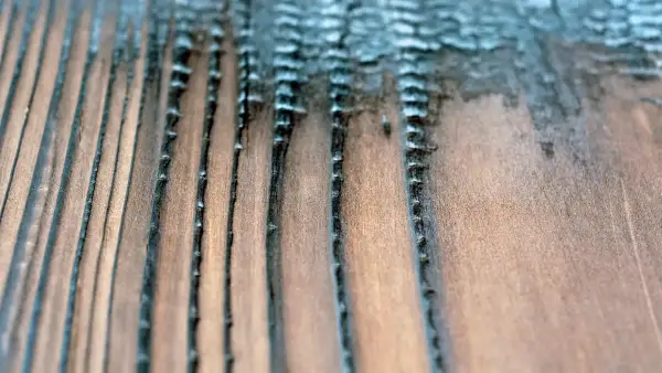 Macro detail of heat-treated Douglas Fir with raised grain ridges created during the Yakisugi process.