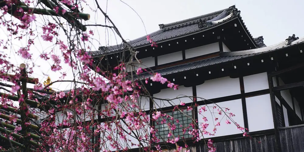 Traditional Japanese building with Yakisugi cedar cladding showing what is Yakisugi and where the wood charring method originated