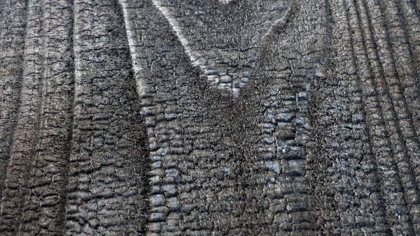 Close-up of the finished Yakisugi char surface with deep alligator texture.
