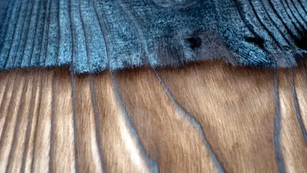 Detailed transition showing charred cedar above and brushed grain below.