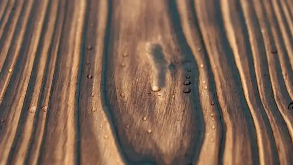 Water droplets beading on brushed Yakisugi grain after oil finishing.