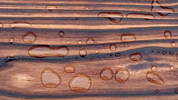 Strong water beading on finished Yakisugi cedar showing high surface protection.