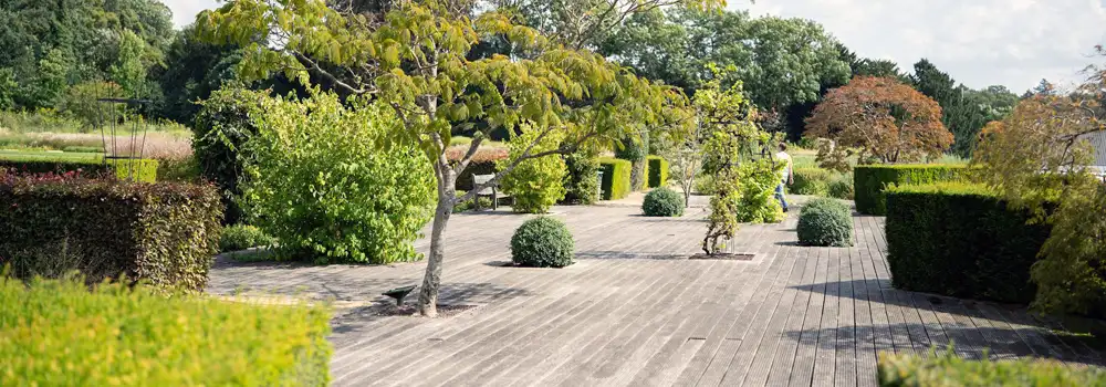 Sensory garden design with tactile raised beds, calming planting, seating and a clear path through the garden