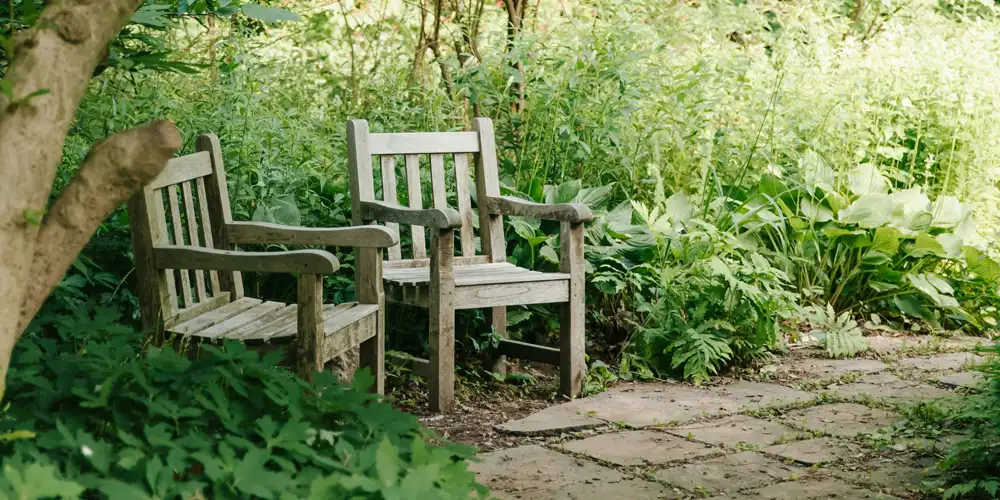 Sensory garden layout with wooden seating surrounded by soft planting and shade.