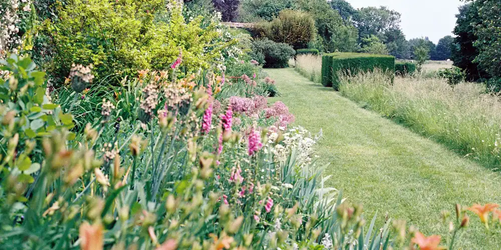 Garden colour and texture shown through soft flowers, grasses and layered foliage