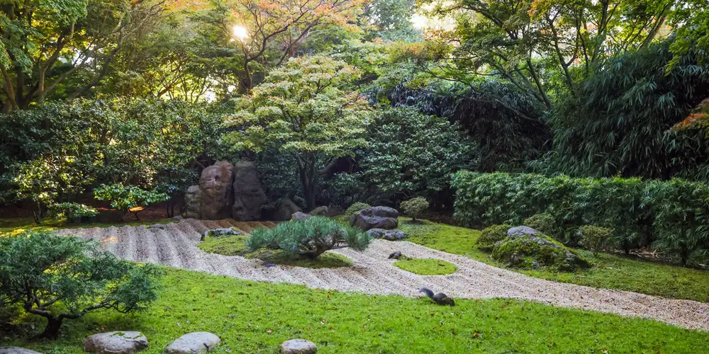 Sensory garden design with gravel, stone, moss, clipped planting and trees for calm structure.