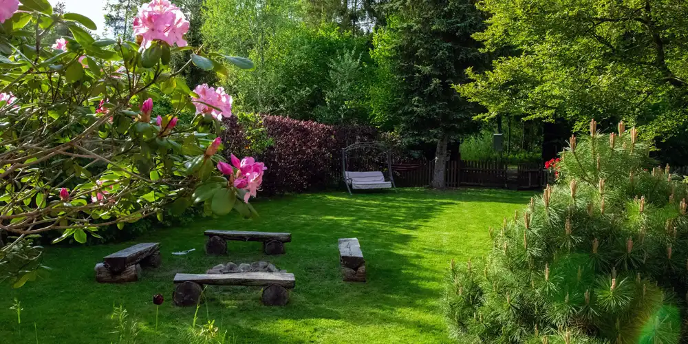 A calm sensory garden layout with structured planting and seating that allows for a focused sensory experience.