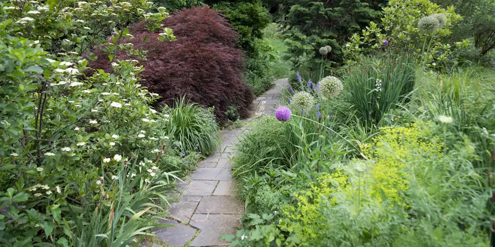 Layered shade-tolerant planting with varied foliage, seasonal colour and a garden path creating a calm sensory experience