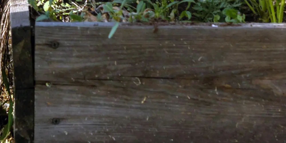 Raised bed warning signs showing board separation, darkened timber, and movement near a structural corner