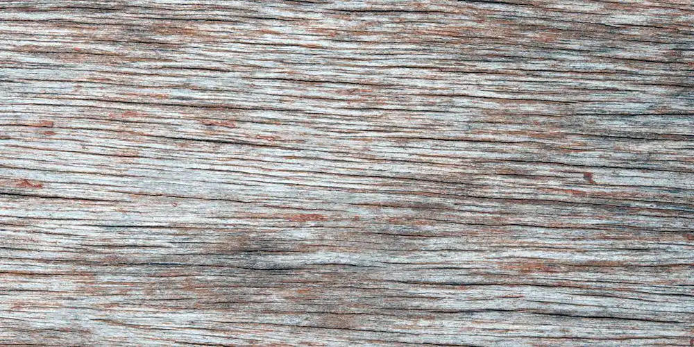 Weathered timber surface showing raised bed problems that may be normal ageing rather than structural failure