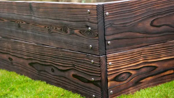 Double-height Western Red Cedar raised bed corner with Yakisugi finish showing stacked structural boards