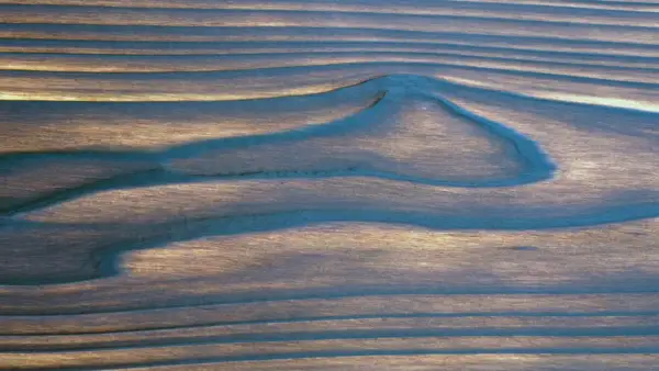 Finished Western Red Cedar Yakisugi surface showing brushed grain and natural figure