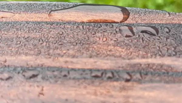 Rainwater beading on a Yakisugi-finished Western Red Cedar raised bed surface