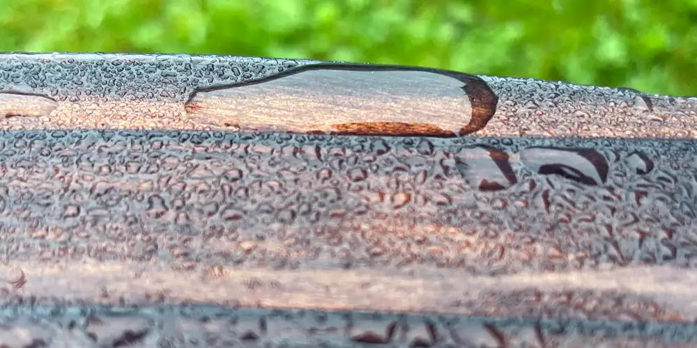 Rainwater beading on treated timber showing how raised bed durability depends on moisture control