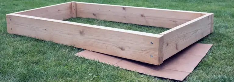 Raised garden bed frame on grass with cardboard underneath before filling